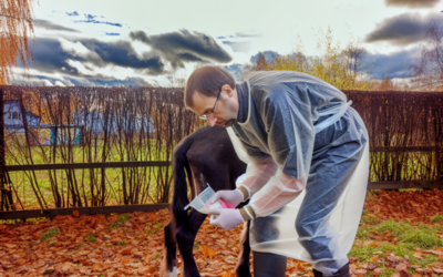 accueil 1 VĂ©tĂ©rinaires de terrain : quelles tenues pour lâautomne entre boue et humiditĂ© ?